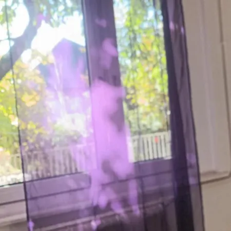 Privát Tapolca Apartman Raposka